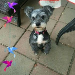 Meet your Posher, Teresa